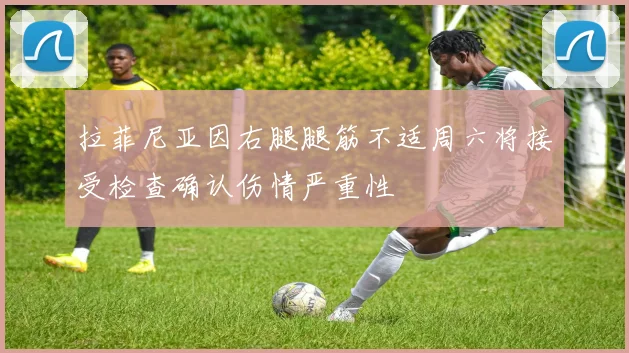 拉菲尼亚因右腿腿筋不适周六将接受检查确认伤情严重性